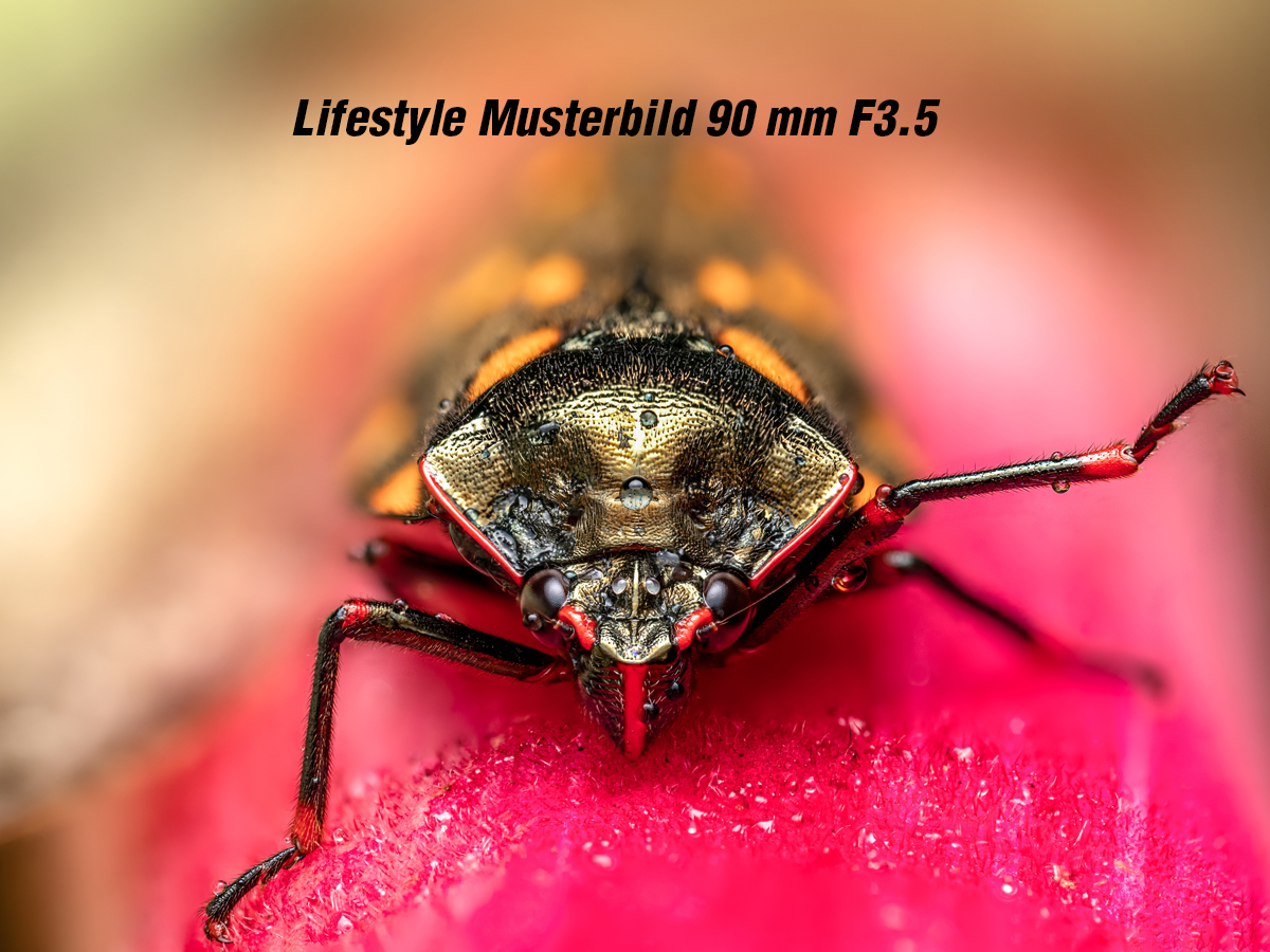 OM SYSTEM ED 90mm/3,5 Macro IS Pro Ø62mm 4545350053925