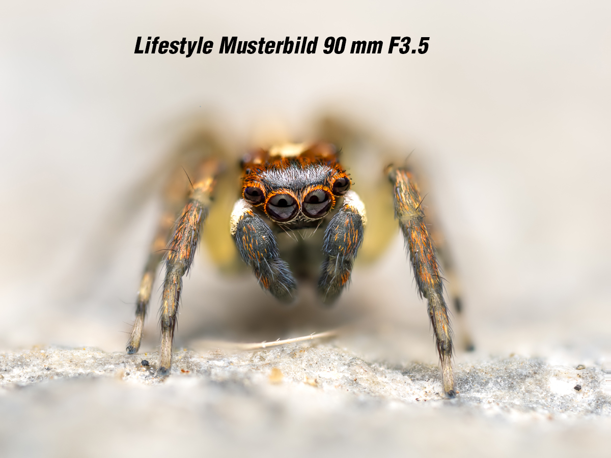 OM SYSTEM ED 90mm/3,5 Macro IS Pro Ø62mm 4545350053925