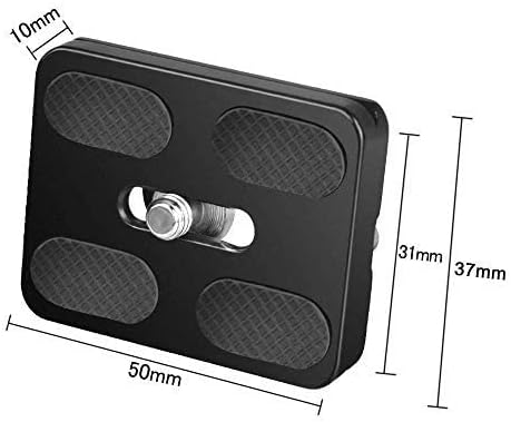 Kamera Stativ Arca Swiss Schnellwechselplatte | mit 1/4" Kameraschraube |