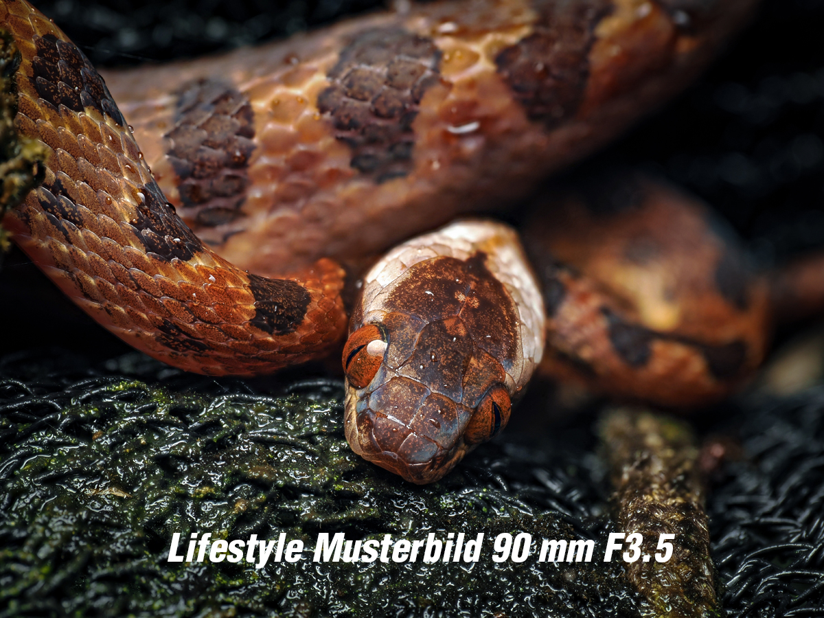 OM SYSTEM ED 90mm/3,5 Macro IS Pro Ø62mm 4545350053925