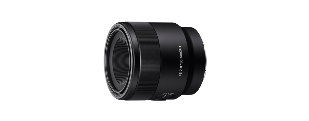 Sony FE 50mm/2,8 Makro (SEL50M28) Ø55mm € 50 Wildlife Sofortrabatt bis 31.01.2026 werden noch abgezogen | 4548736043954
