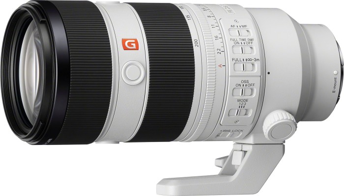 Sony FE 70-200mm/2,8 GM2 OSS II (SEL70200GM2) | Ø77mm  |€ 50 Wildlife Sofortrabatt bis 31.01.2026 werden noch abgezogen