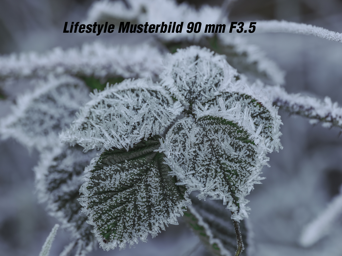 OM SYSTEM ED 90mm/3,5 Macro IS Pro Ø62mm 4545350053925