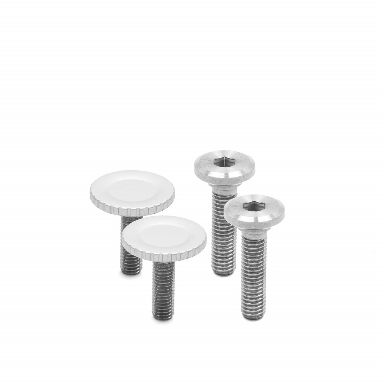 Peak Design Capture Clip V3 inkl. Std.Plate Silver | Silberfarben | mit Standard-Kupplung Arca-Swiss |