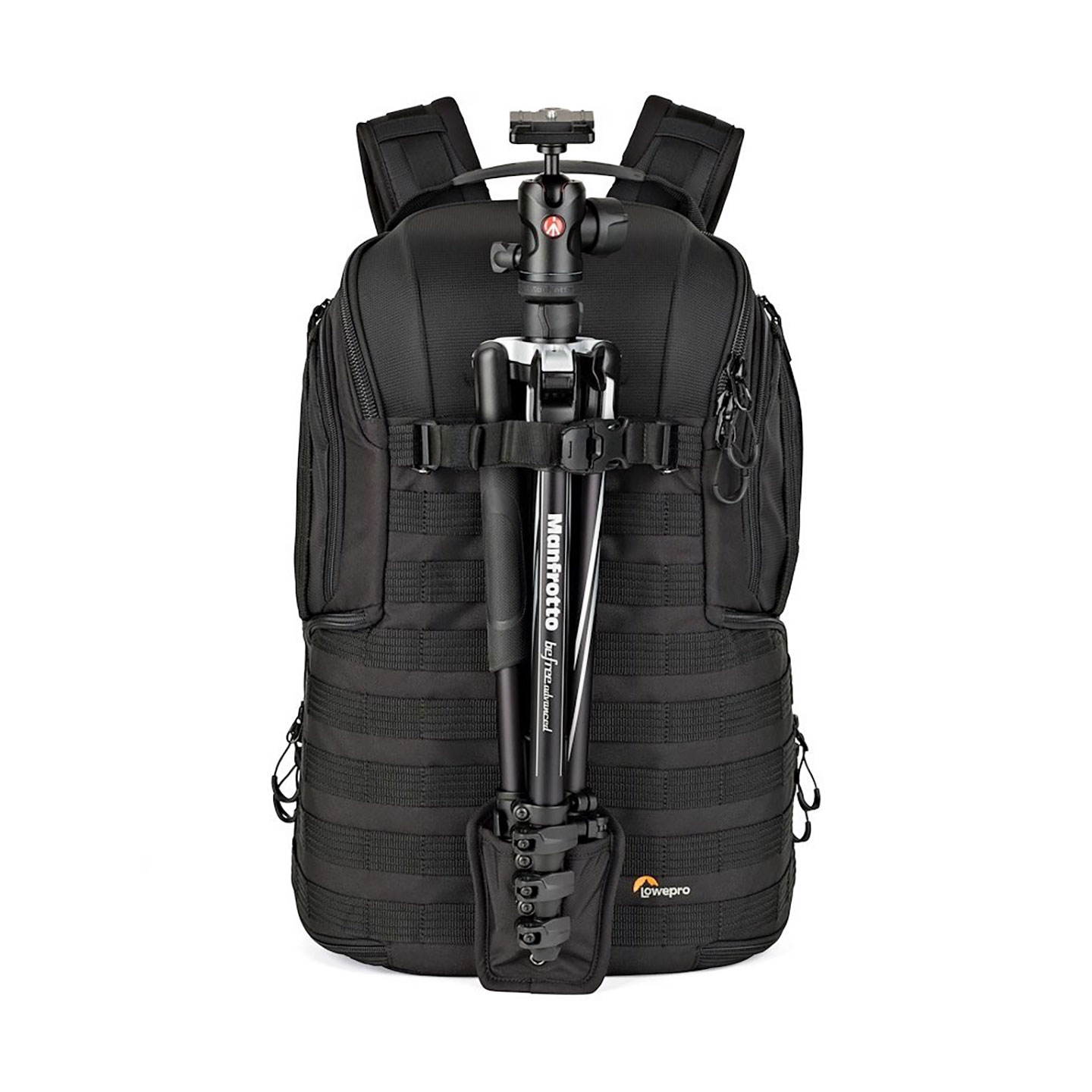 Lowepro ProTactic 350 AW II schwarz Fotorucksack 8024221725124